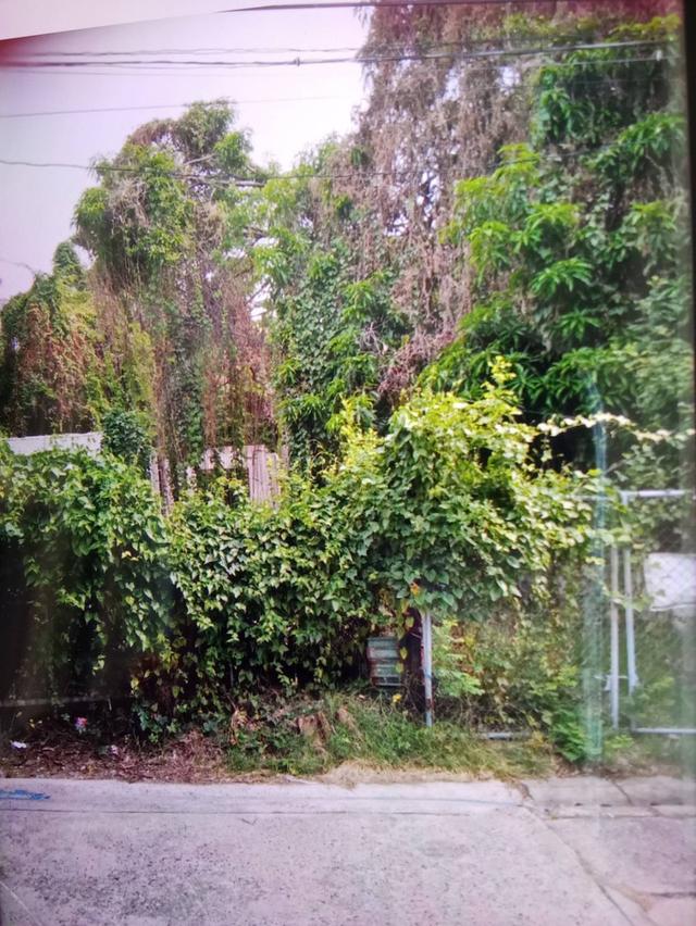 ด่วน ขายถูกที่ดินสุขุมวิท60/1 บางจาก 197ตร.ว ใกล้ BTSบางจาก ทางด่วนสุขุมวิท62 ใกล้ห้างโลตัส เข้าเมืองไปเอกมัย ทองหล่อ ไปบางนาตราดก็สะดวก 0879074045 3