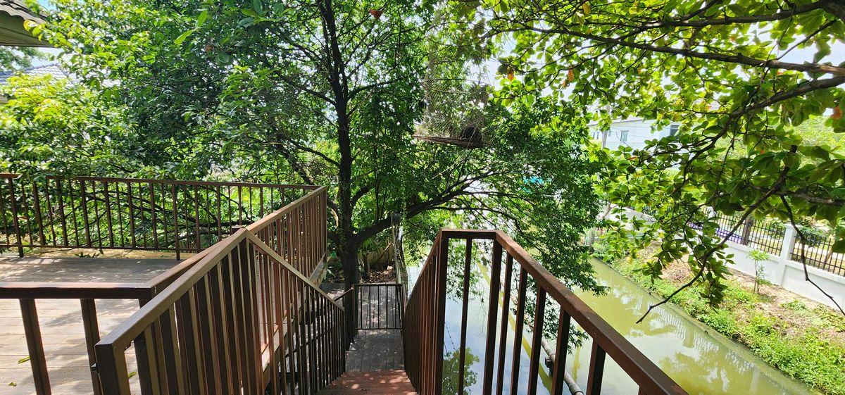 ขายบ้านเดี่ยว 2 ชั้น ม.ศุภาลัยออร์คิดปาร์ค 2 ซ.บางแวก 81 หันหน้าทิศใต้ ใกล้ซีคอนบางแค ถูกสุดในย่านนี้ 9