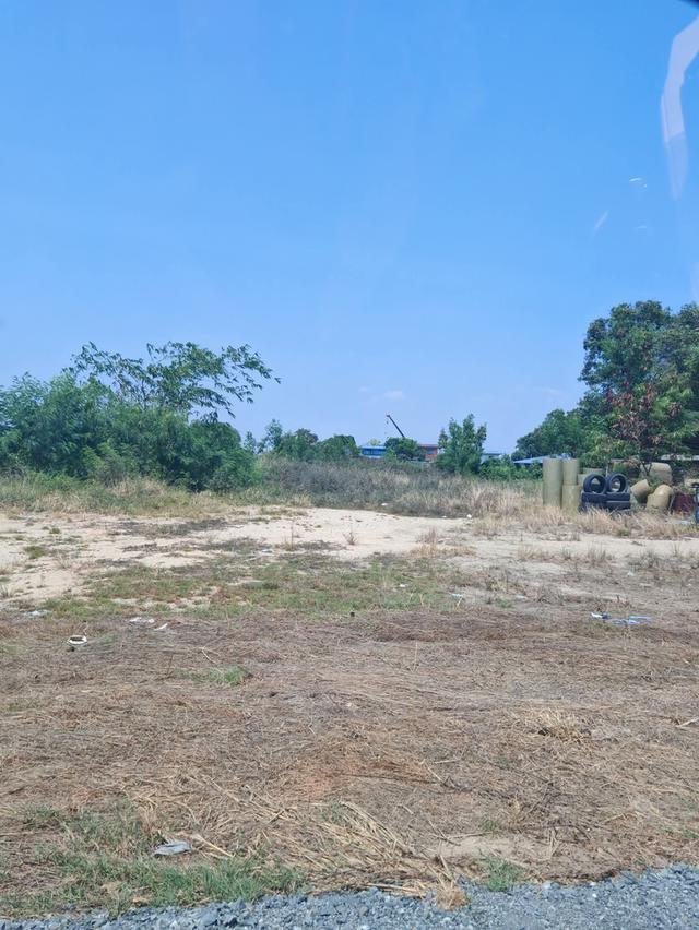 ขายที่ดิน2ไร่อยู่บ้านระกาศ​จังหวัดสมุทรปราการ​ 4