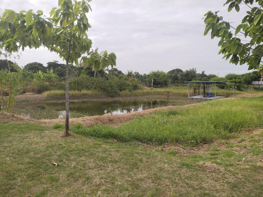 ที่ดินเกษตร