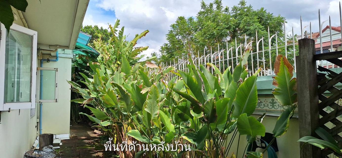 ขายบ้านเดี่ยว มณีรินทร์มาสเตอร์พีซ รังสิต รูปที่ 14