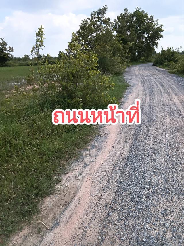 ที่นาสวยมาก ด้านหน้าติดถนน ด้านหลังติดเหมืแงส่งน้ำ มีถนนเลียบข้างที่จากด้านหน้าที่ไปหลังที่ ทรงสวย  เข้าออกได้หลายทาง  จำนวน 10 ไร่ ไร่ละ  85,000จ 4