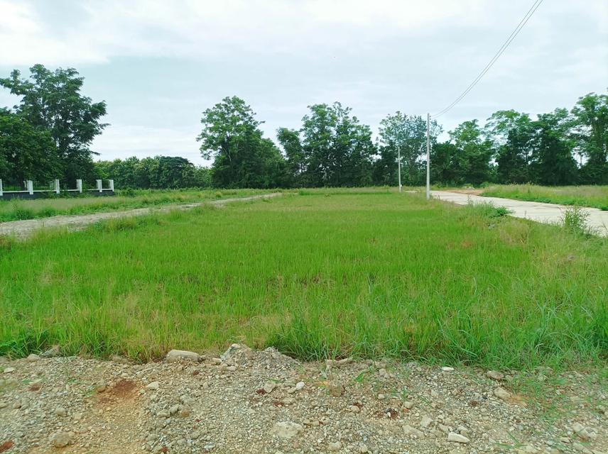 ขายที่ดิน ราคา8,500บาท/ตร.ว. ต.สำราญราษฏร์ อ.ดอยสะเก็ด จ.เชียงใหม่ 9