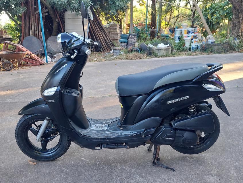 ฟีลาโน่ filano ฟีลาโน่