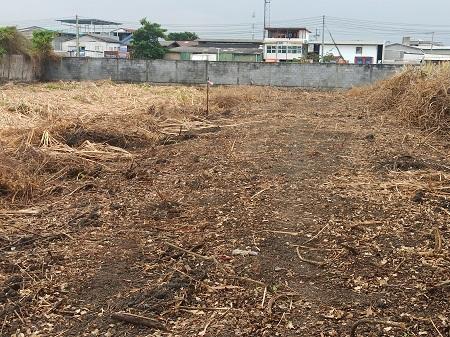 ที่ดิน200ตรว. บางกระดี่ พระราม2 บางขุนเทียน กรุงเทพ 3