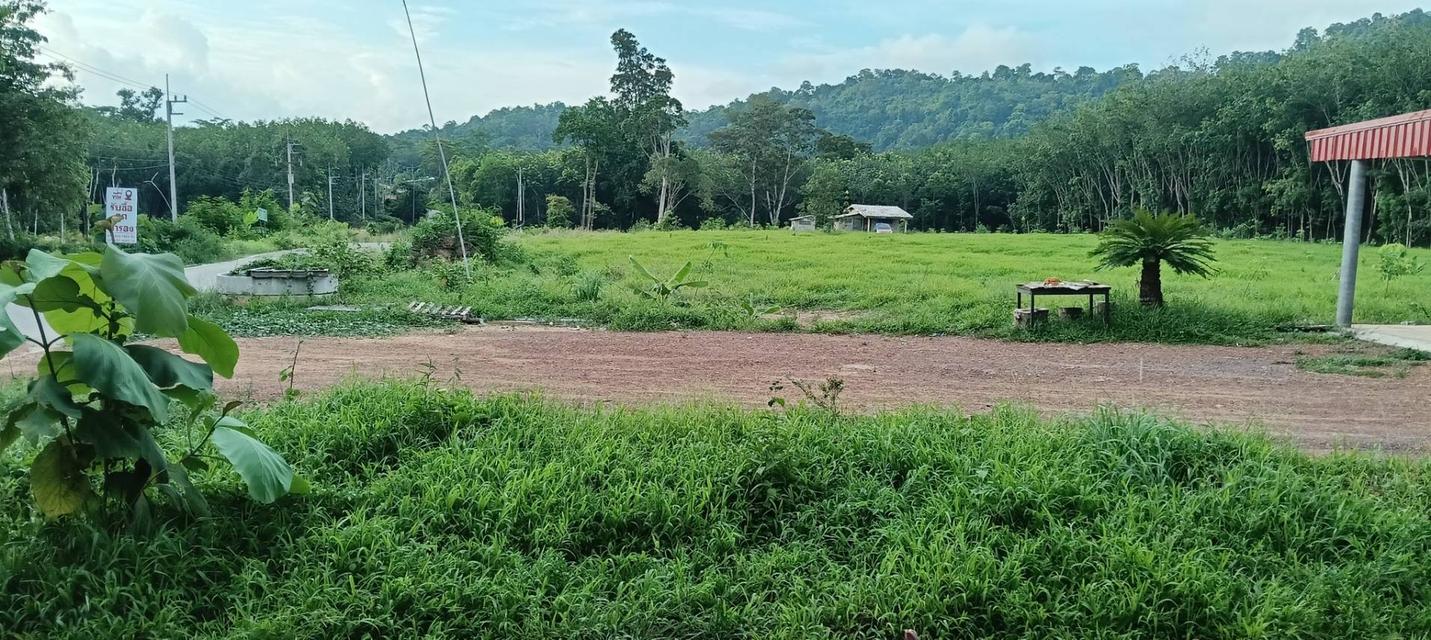ที่ดินพร้อมบ้าน จำนวน 10 ไร่ 5