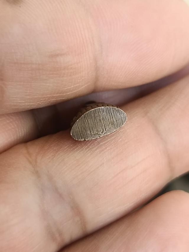 พระชัยวัฒน์สุจิตโต วัดบวรนิเวศฯ เนื้อทองทิพย์ พิมพ์สมาธิ [นิยม] 3