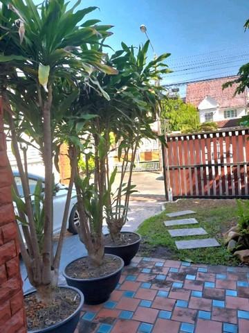 ให้เช่า บ้านเดี่ยว2ชั้น 63ตรว. ถนนเกษตร-นวมินทร์ ประเสริฐมนูกิจ42 ใกล้เลียบทางด่วนรามอินทรา 3