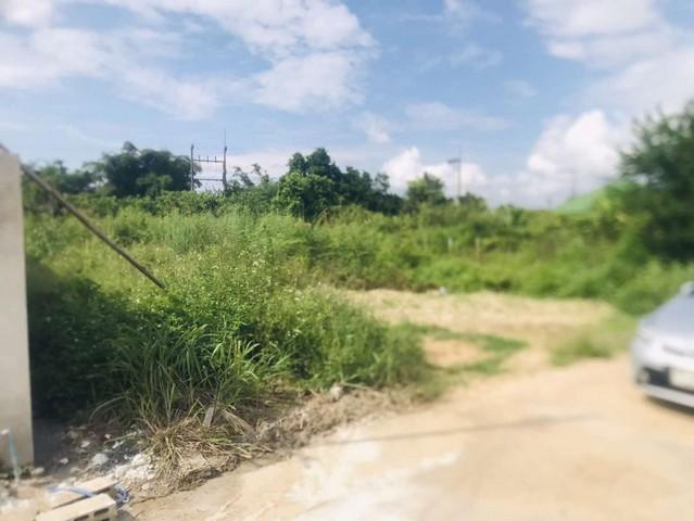 ขายที่ดินเปล่า 104ตรว. 890,000บ. ถนนคอนกรีต ถมดิน น้ำ ไฟฟ้า ต.หนองแหย่ง อ.สันทราย เชียงใหม่