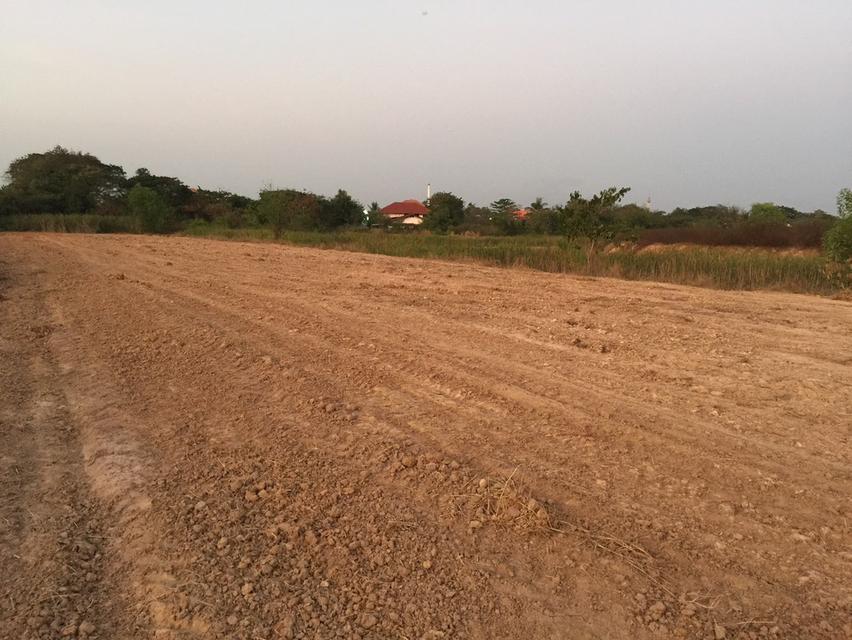 ขายด่วน ที่ดินขนาดใหญ่ ติดถนนใหญ่ จ.อุดรธานี 3