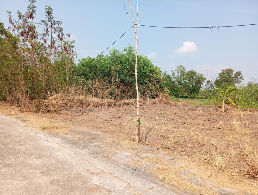 ขายที่ดิน เลียบคลอง 11 อ.หนองเสือ จ.ปทุมธานี 4