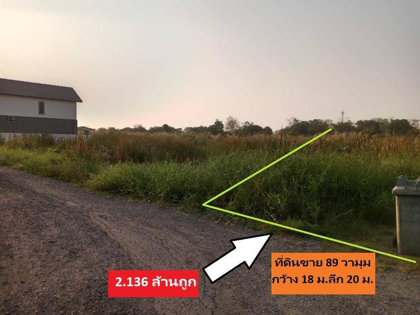 ขายที่ดินสร้างบ้านสวยจริง พหลโยธิน 54/1แยก 8-4-3 ซอยตาลเดี่ยวหลายแปลงแปลงนี้ 89 วา มุมอย่างสวยพึ่งเปิดขายเก่าเก็บแปลงนี้สนใจโซนนี้ตอนนี้ซื้อได้เลยกำไร 14