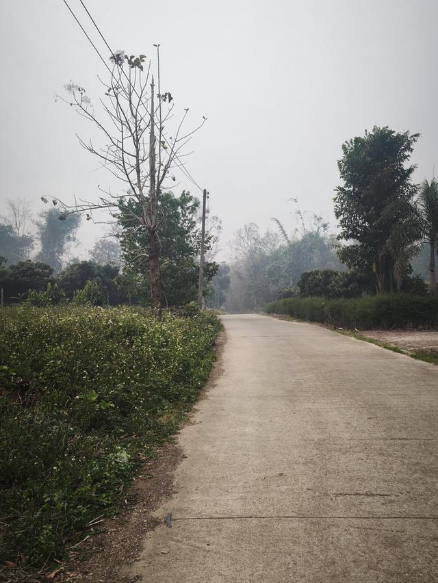 ขายที่ดินสวนลำไยและที่เปล่า 3