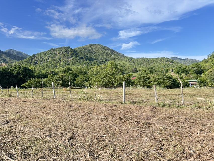 ที่ดิน พุหวาย ชะอำ จ เพชรบุรี ขนาด 6.375 ไร่  14