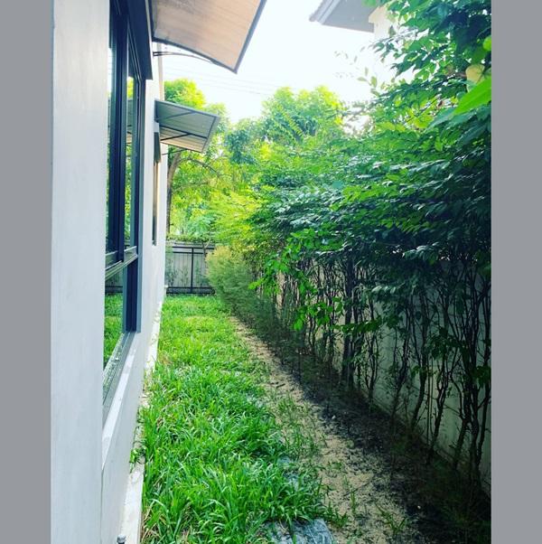 ประกาศให้เช่า - บ้านแฝดสไตล์บ้านเดี่ยว พร้อมอยู่ ทำเลพระราม 9 - อ่อนนุช (เข้าอยู่ได้ 12 กุมภา 2569) 10