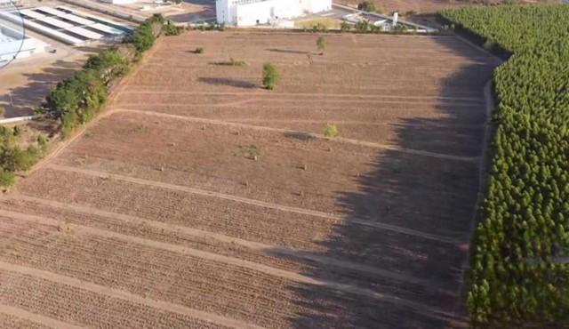 ขายที่ดินผังสีม่วง 16-2-87.3 ไร่ ติดนิคมโรจนะ ปราจีนบุรี หัวหว้า ศรีมหาโพธิ,ปราจีนบุรี 6