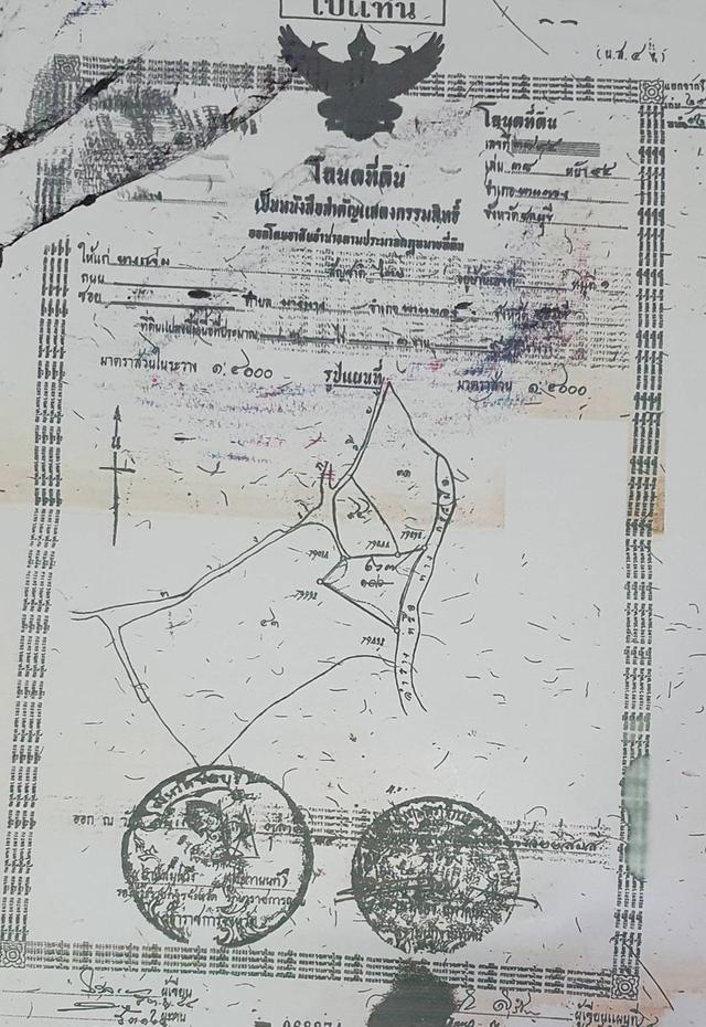 ขายที่ดินเปล่า 7 ไร่ 96 ตรว. เจ้าของขายเอง นิคมอุตสาหกรรมแห่งใหม่นิคม บลูไฮเทค พานทองชลบุรี  11