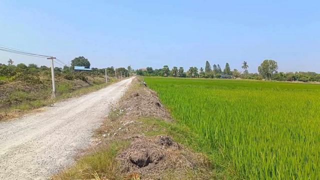 ขายที่ดิน เเบ่งเเปลงขาย ใกล้ตัวเมืองสุพรรณ น้ำไฟ พร้อม 5