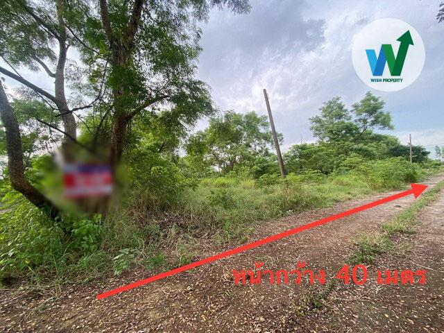 ประกาศขายที่ดิน ด่วน ถูกมาก ที่ดิน 1 ไร่ 17 ตร.ว. สุวินทวงศ์ 49