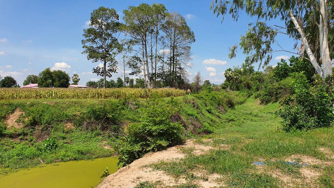 ที่ดิน บ้านโข้ง อู่ทอง สุพรรณบุรี 3