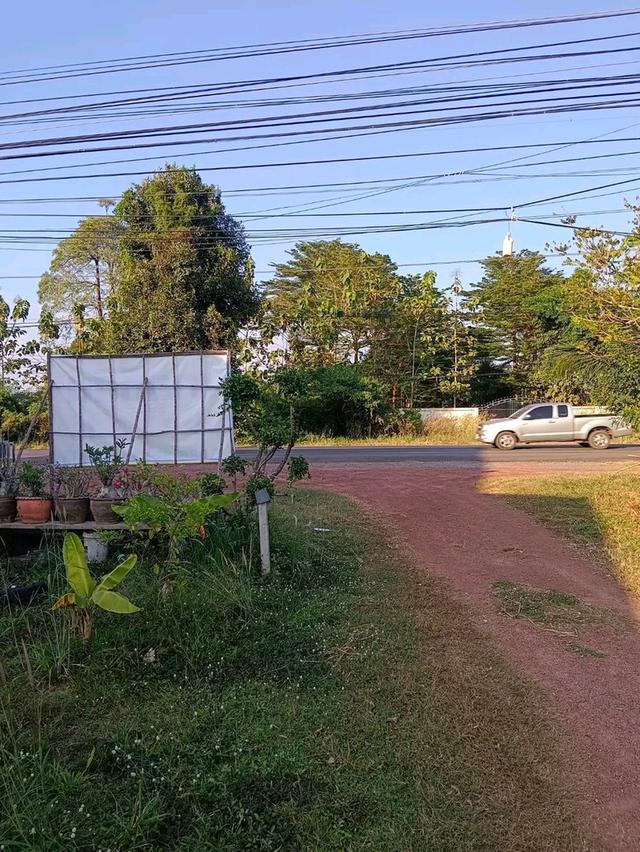 ที่ดินเปล่าถมแล้วบางส่วน 4