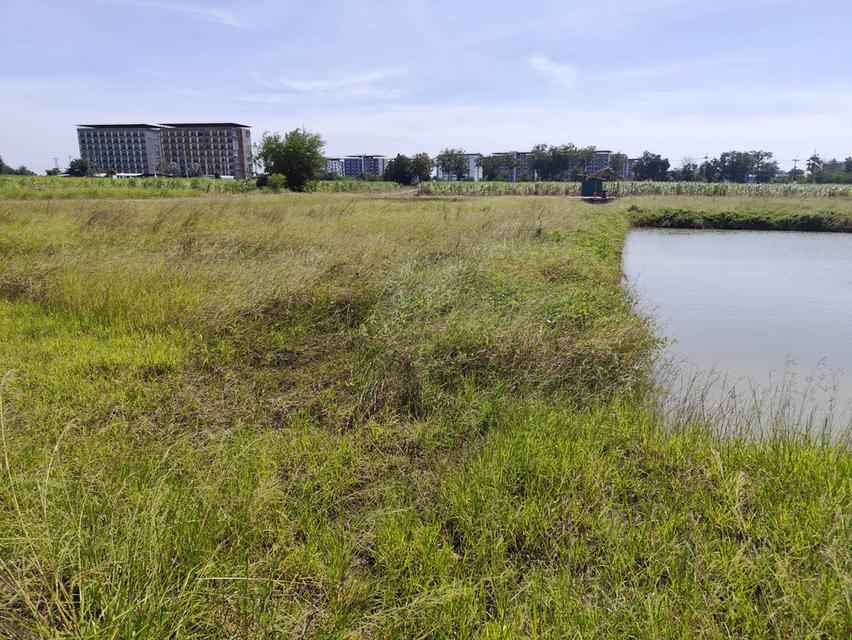 Sale large land 9.3 Rais suitable for projects or building house etc, can be subdivided Kamphaeng Saen District, Nakhon Pathom Province near Bangkok 9