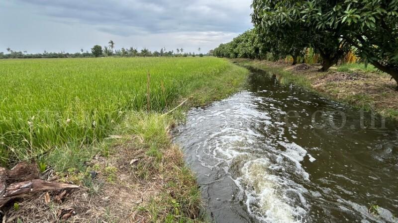 ที่ดิน 9-3-99.5 ไร่ ดอนโพธิ์ - สุพรรณบุรี มีผู้เช่า ทำเลดี 7