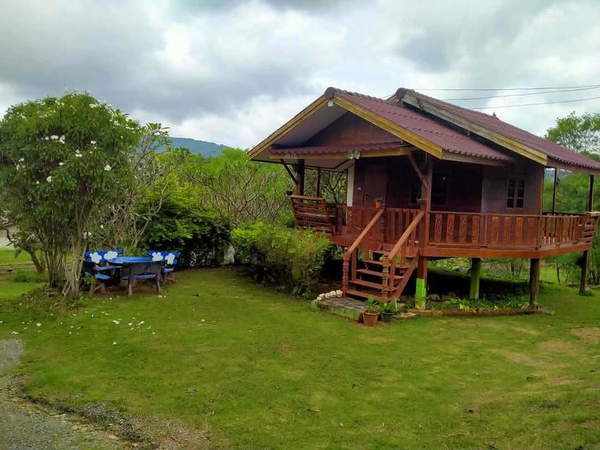 ปล่อยเช่ารายเดือน 2,000-3,000บาท มีเฟอร์นิเจอร์ 10