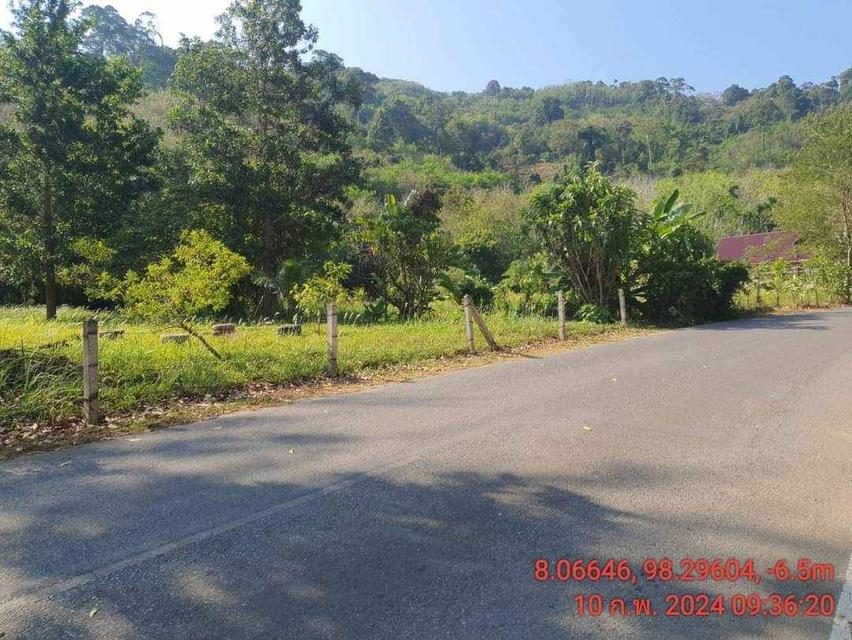 Land for sale near Naithon beach Phuket 5