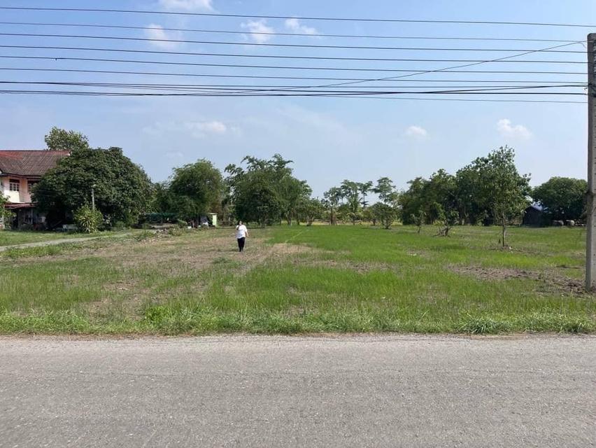ขายที่ดินติดคลอง บรรยากาศดี คลอง 22 องครักษ์ นครนายก 7