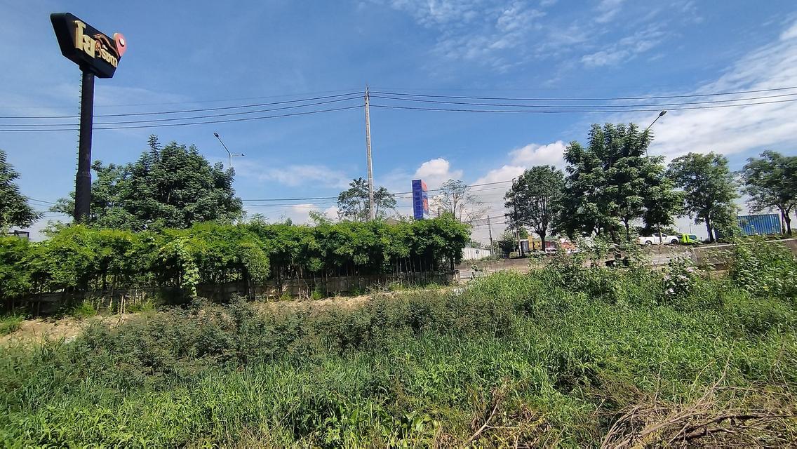 ขายที่ดิน 48 ตรว. ถ.นิมิตรใหม่ เหมาะปลูกบ้าน ขายถูกสุดๆๆ