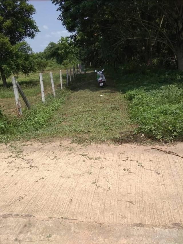 ที่ดินสวนไม้สัก 5 ไร่ 23 ตร.ว. จ.ลำปาง 6