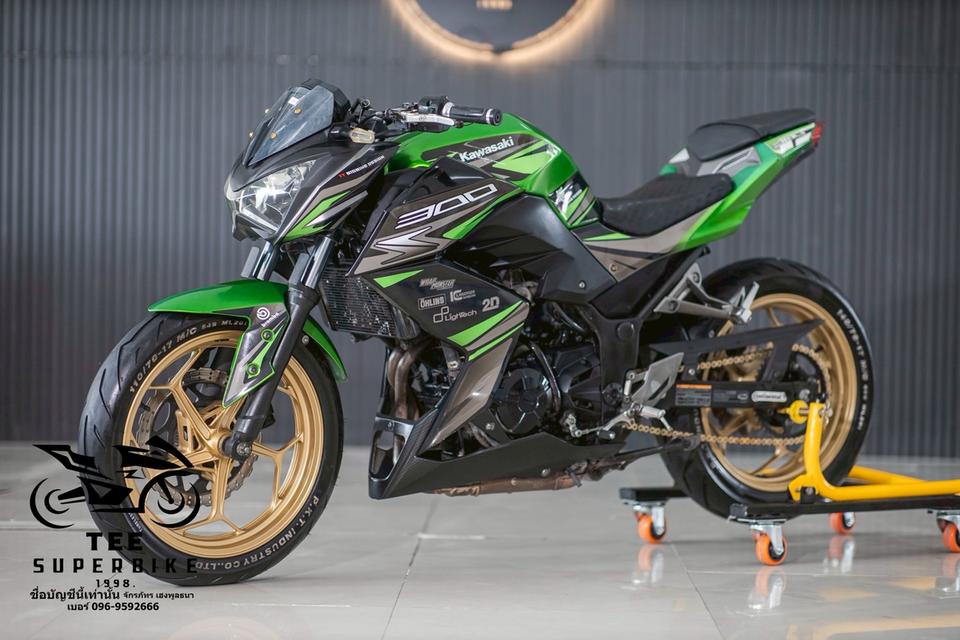 Kawasaki Z300 2017