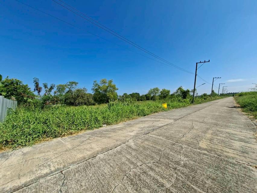 ขายที่ดินเปล่า ซอยเพชรสมหวัง คลอง4 คลองหลวง 3