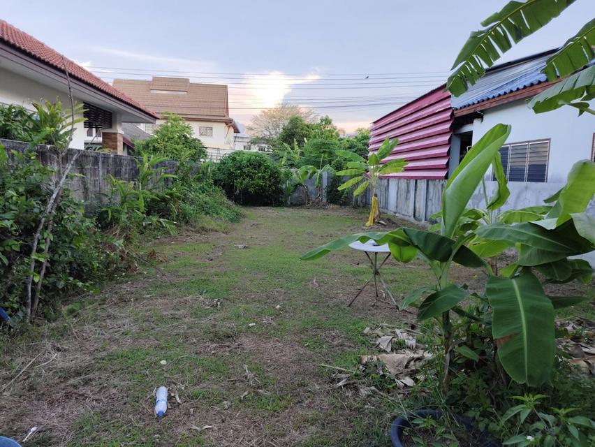 ที่ดินเปล่าเชียงใหม่ ถนนนเลียบคลองชลประทานต.สุเทพ 1