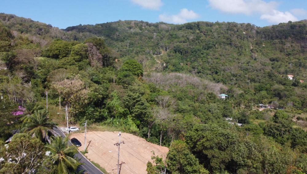 ขายที่ดินเปล่า1ไร่ ซีวิว จ.ภูเก็ต 8