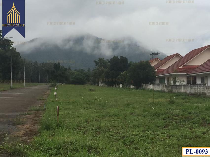 ขายทั้งโครงการ อิงดอย ลำพูน พื้นที่ 51 ไร่ พร้อมบ้านเดี่ยวหลายหลัง 8