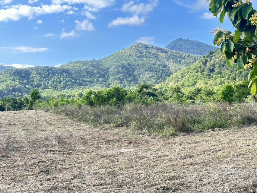 ที่ดิน พุหวาย ชะอำ จ เพชรบุรี ขนาด 6.375 ไร่  20