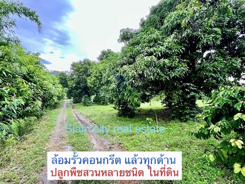 ขายที่ดิน พร้อมสิ่งปลูกสร้าง เป็นสำนักงาน และโกดังสินค้า พร้อมบ้านพักพนักงาน อ.ปากช่อง จ.นครราชสีมา  ครบ จบ ในที่เดียว 16