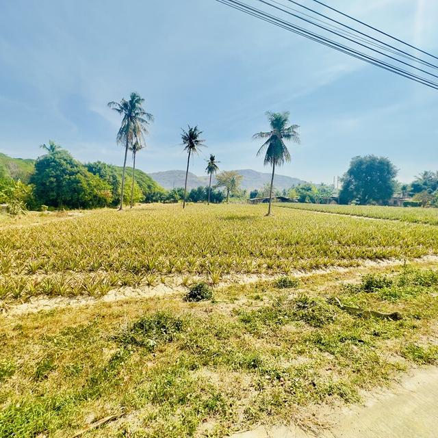 ขายที่ดิน วิวภูเขา ใกล้ทะเล เนื้อที่ 6-3-51.3 ไร่ รูปแปลงสวย ติดถนนสองด้าน ต.ปราณบุรี อ.ปราณบุรี จ.ประจวบคีรีขันธ์