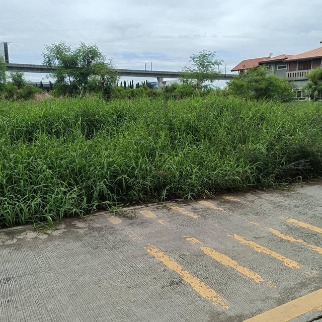 ให้เช่า ที่ดิน เนื้อที่ 5 ไร่ ถนนประชาทร ลาดกระบัง