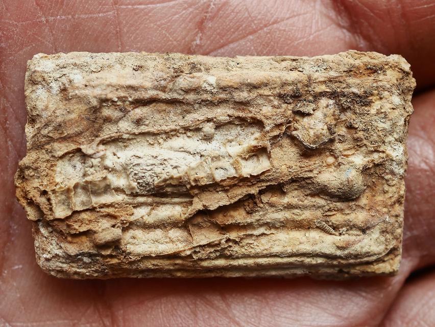 พระสมเด็จบางขุนพรหม กรุใหม่ เจดีย์เล็ก พิมพ์ปางไสยาสน์....เก่า เดิม คราบกรุจัดๆ 7