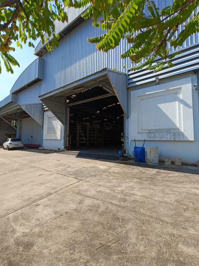 รหัสC6989 ให้เช่าโกดังพร้อมโอเวอร์เฮดเครน 4ตัว พร้อมออฟฟิศ 3ชั้น ย่านรังสิต-นตรนายก คลอง6 ปทุมธานี 8