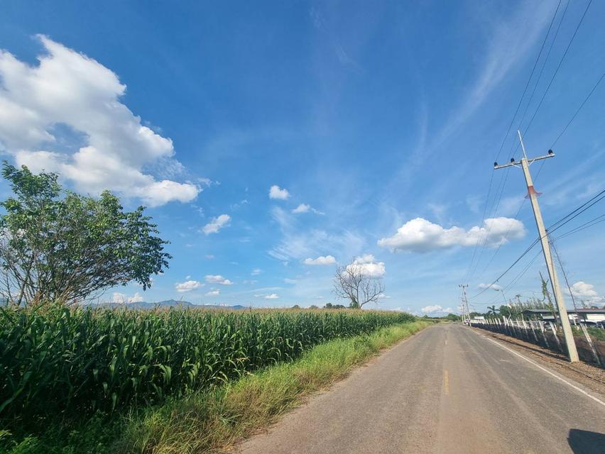 ขายที่ดิน 20ไร่เศษ ต.ลาดแค ชนแดน ขายเหมายกแปลง1.9 ล้าน 5