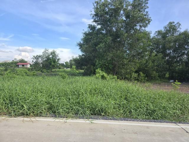 ขายที่ดิน คลองหลวง ปทุมธานี ทำเลดี ใกล้อบต.คลองสาม และใกล้วัดธรรมกาย 4