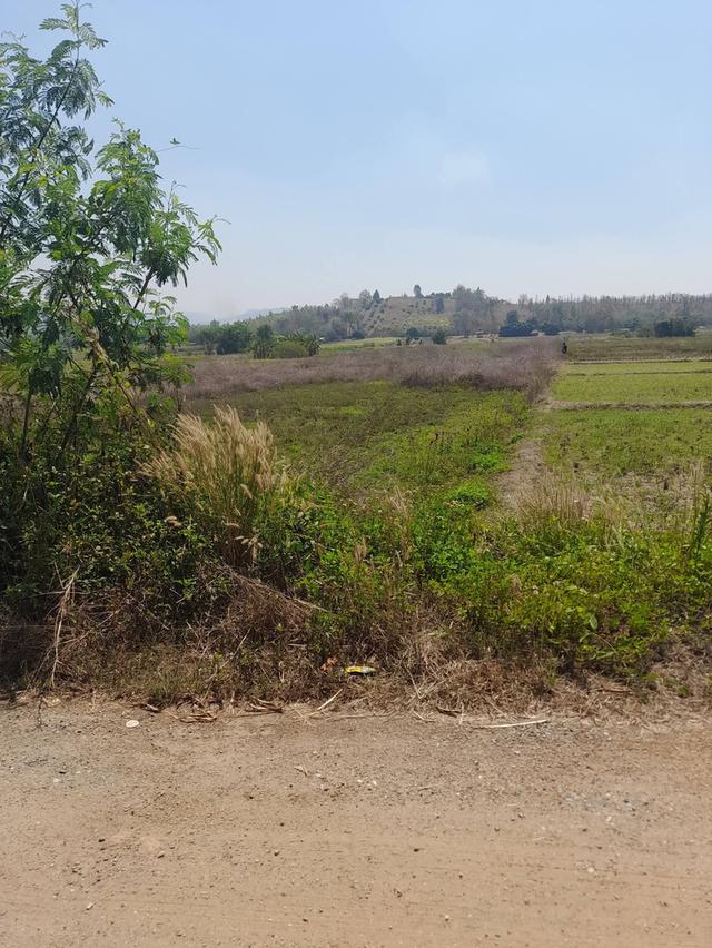 ที่นา 2 ไร่ 2 งาน เศษ ดินดี น้ำอุดม เพียง 229000 2