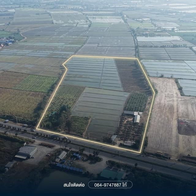 ขายที่ดิน 46ไร่ 2งาน 53ตร.ว อ.แม่สาย จ.เชียงราย 5