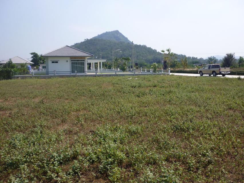 ขายที่ดินเปล่า ชะอำ ติดสวนสมเด็จฯ เยื้องอ่างเก็บน้ำห้วยตะแปด 1