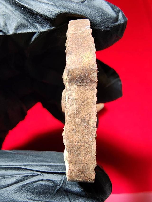 พระขุนแผนผงพราบกุมาร หลวงปู่ทิม 4