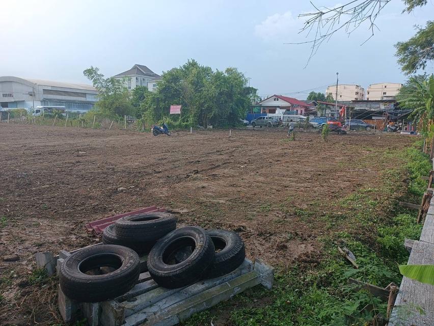 ที่ดิน 11